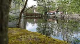 Hundeauslaufgebiet-Gut Bustedt-Bild