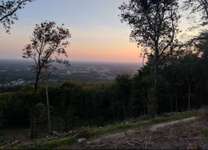 Hundeauslaufgebiet-Teutoburger Wald-Bild