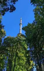 Hundeauslaufgebiet-Teutoburger Wald-Bild