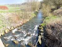 Hundeauslaufgebiet-Schildesche-Bild