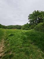 Hundeauslaufgebiet-Hundewiese-Bild