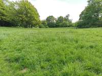 Hundeauslaufgebiet-Hundewiese an der Promenade-Bild