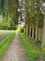 Hundeauslaufgebiet-Tackeloh-Bild