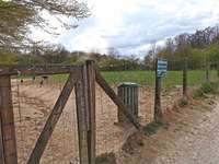 Hundeauslaufgebiet-Olderdissen Tierpark-Bild