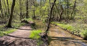 Hundeauslaufgebiet-Niemöller's Mühle-Bild
