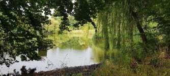 Hundeauslaufgebiet-Niemöller's Mühle-Bild