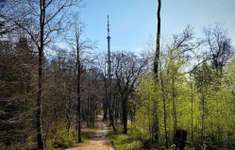 Hundeauslaufgebiet-Teutoburger Wald-Bild