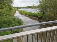 Hundeauslaufgebiet-Am Obersee-Bild