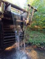 Hundeauslaufgebiet-Niemöller's Mühle-Bild