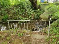 Hundeauslaufgebiet-Hundespielplatz/Hundewiese Stieghorst-Bild