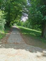 Hundeauslaufgebiet-Hundewiese an der Promenade-Bild