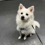 Ersteller:in Bilbo Profilbild