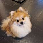 Ersteller:in Angela Profilbild