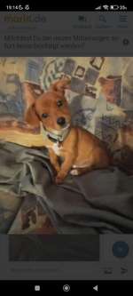 Alleine bleiben. Wie aufbauen?-Beitrag-Bild