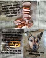 FUN AUFGABEN TOUR-Beitrag-Bild