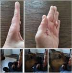 FUN AUFGABEN TOUR-Beitrag-Bild