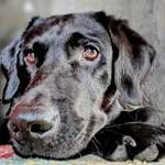 Ersteller:in ST Profilbild