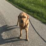 Ersteller:in Laura Profilbild