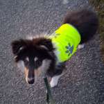 Ersteller:in Lionel Profilbild