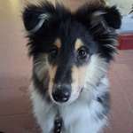 Ersteller:in Lionel Profilbild