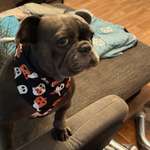 Ersteller:in Isabelle-Marie Profilbild