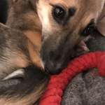 Ersteller:in Alex and Martin Profilbild