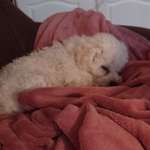 Ersteller:in Louise Profilbild