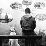 Leiden Hunde unter den psychischen Erkrangungen ihrer Besitzer?-Beitrag-Bild