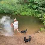 Hundeauslaufgebiet-Wiesengrund Katzwang-Bild