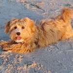 Ersteller:in Christina Profilbild