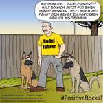 Positve Rocks-Beitrag-Bild