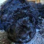 Ersteller:in Silvia Profilbild