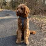 Ersteller:in Hannah Profilbild