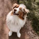 Ersteller:in Mira Profilbild