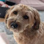 Ersteller:in Bianka Profilbild