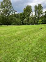 Hundeauslaufgebiet-Thörls Park-Bild