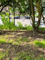 Hundeauslaufgebiet-Borgfelde (oben)-Bild