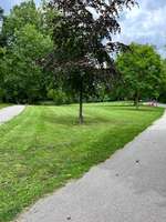 Hundeauslaufgebiet-Thörls Park-Bild