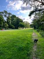 Hundeauslaufgebiet-Borgfelde (oben)-Bild