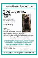 Suchmeldung-Belka-Bild