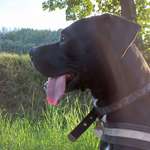 Ersteller:in nettl Profilbild