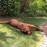 Ersteller:in Svenja Profilbild