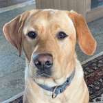 Ersteller:in Mareile Profilbild