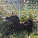 Ersteller:in Alex Profilbild