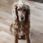 Ersteller:in Anja Profilbild