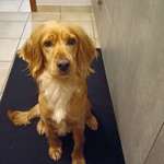 Ersteller:in Anja Profilbild