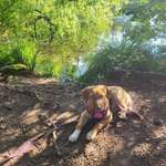 Ersteller:in Lisa Profilbild