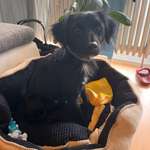 Ersteller:in Simone Profilbild