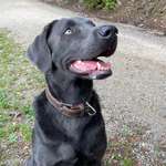 Ersteller:in Anni Profilbild