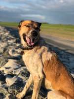 Wer bin ich?-Beitrag-Bild